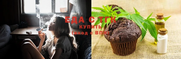 амф Верхний Тагил