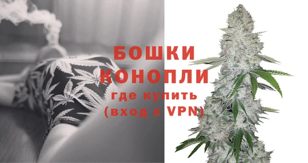 амф Верхний Тагил