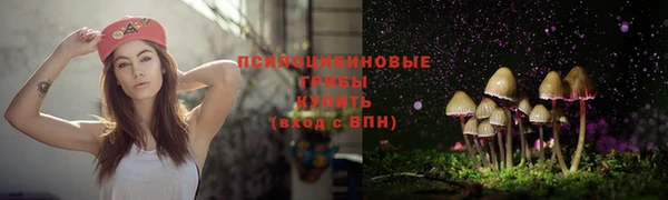 кристаллы Бородино