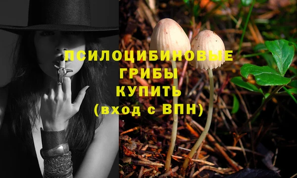 молекула духа Бронницы